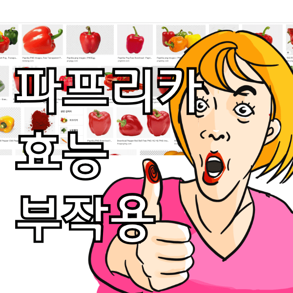 파프리카 효능 10가지와 부작용 , 피망과 파프리카 구분방법 알아봄