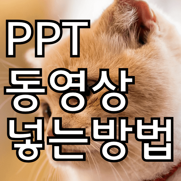 PPT 피피티 파워포인트 동영상 삽입하는 방법