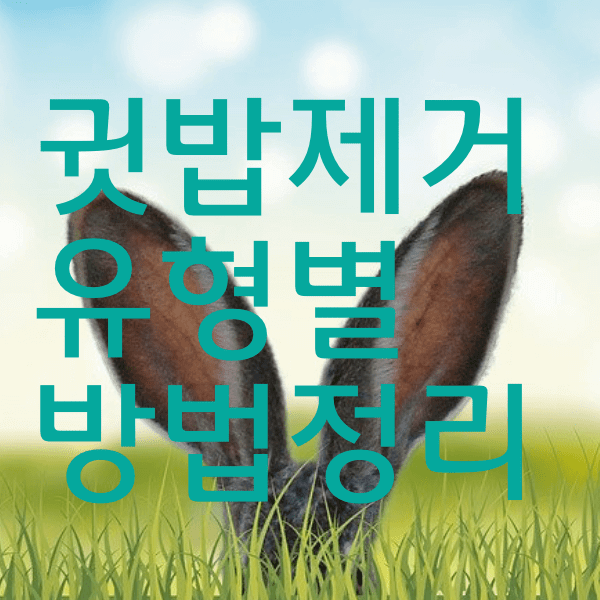 귓밥제거 귀지제거 방법과 시기 알려드려욤