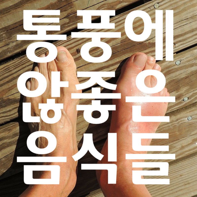 통풍에 않 좋은 음식 알아 볼께욤
