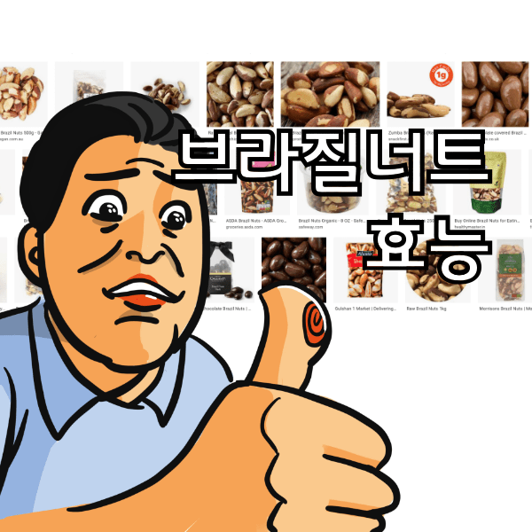 브라질 너트 효능과 먹는 방법 제대로 알아봐욤