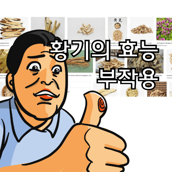 황기 효능과 부작용 그리고 황기 먹는법 알아봄