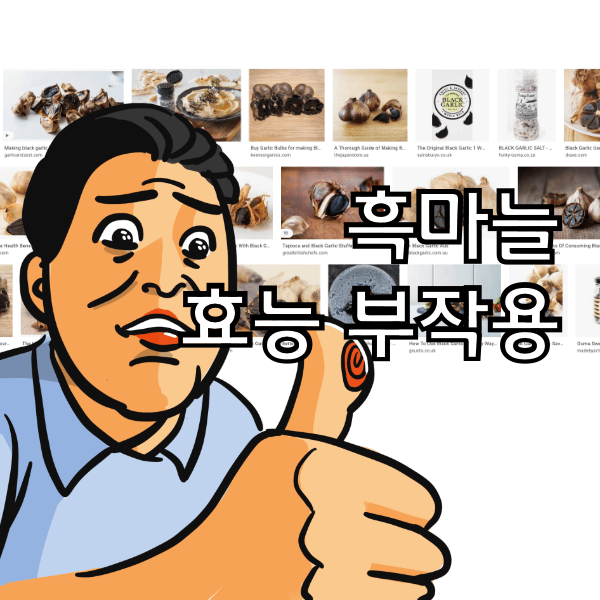 흑마늘 효능과 부작용 그리고 흑마늘 만드는 방법까지 정리해봄