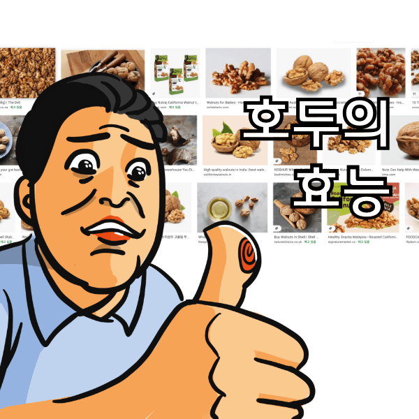 호두 효능과 부작용. 이거랑 호두 같이 먹지마 제발