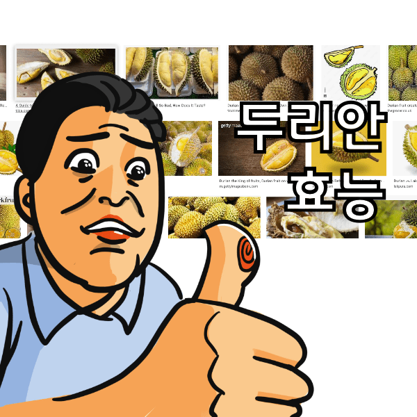 두리안의 효능 알아볼까요? 지옥의 냄새 천국의 맛 두리안
