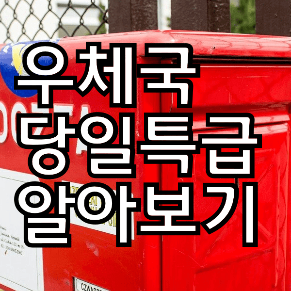 우체국 당일 특급시간  택배접수 정보 알아봐욤