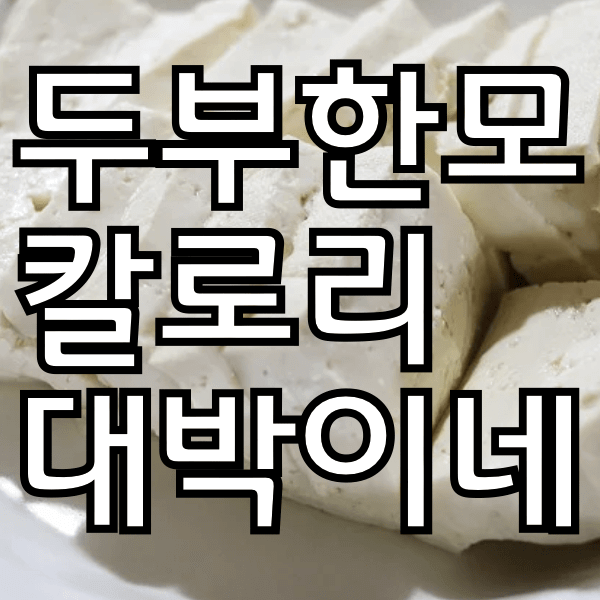 두부 칼로리  두무한모 칼로리 나만 몰랐나? 알아보자!