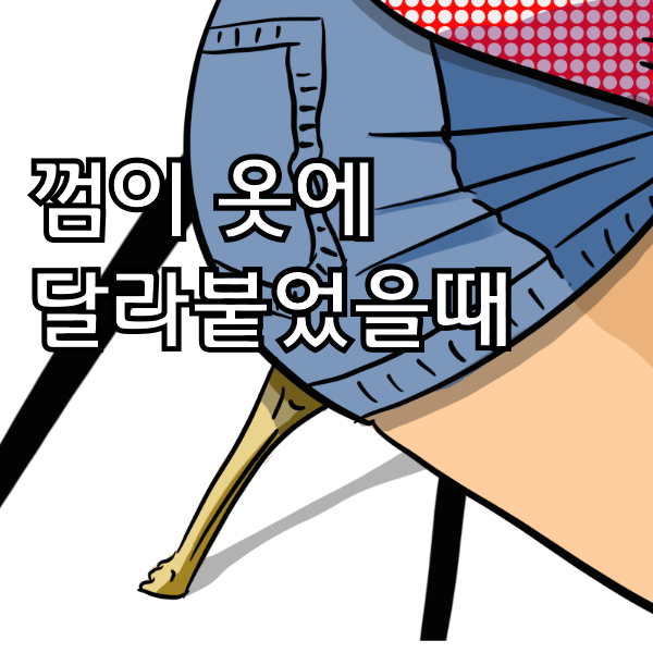옷에 껌이 달라 붙었을때  껌떼는 방법 6가지 알아봄 , 신기하게 바로 떼짐 주의
