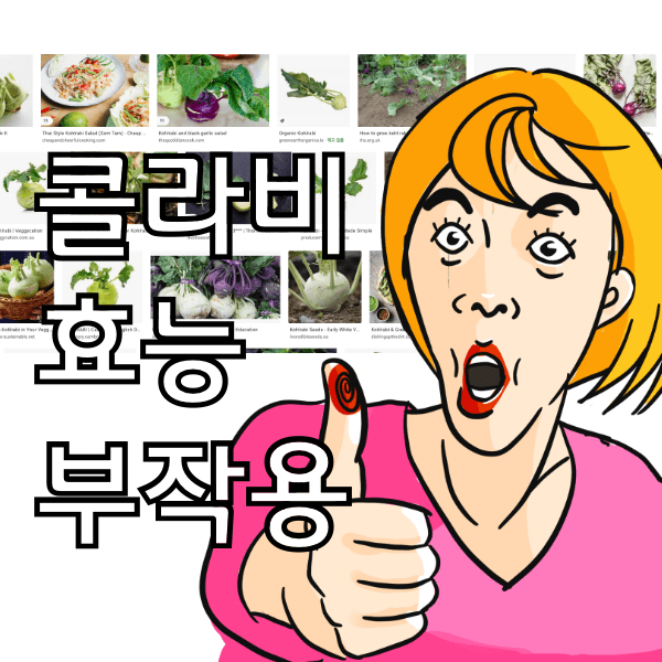 콜라비 효능과 부작용, 갑상선에 문제있으면 먹으면 안되는 이유 알아봄