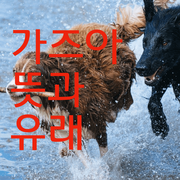가즈아 뜻과 유래 , 가즈아 신조어는 어떻게 생긴 것 일까?