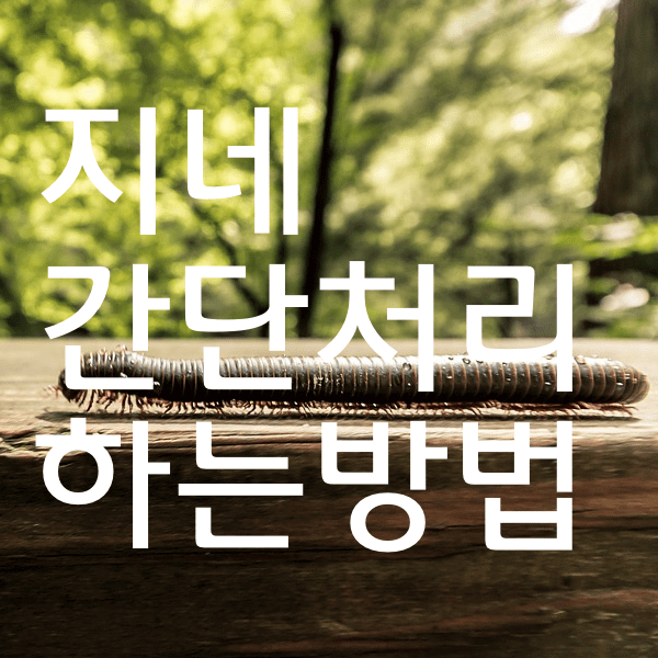 지네퇴치법 4가지 생각보다 간단한 방법들 알려드려욤