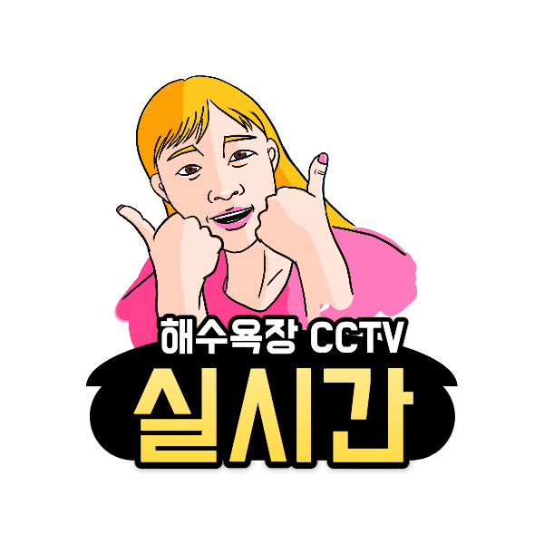 해수욕장 cctv 모음. 실시간 바다 영상 보는 방법