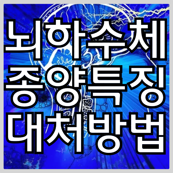 뇌하수체 종양 특징과 대처방법