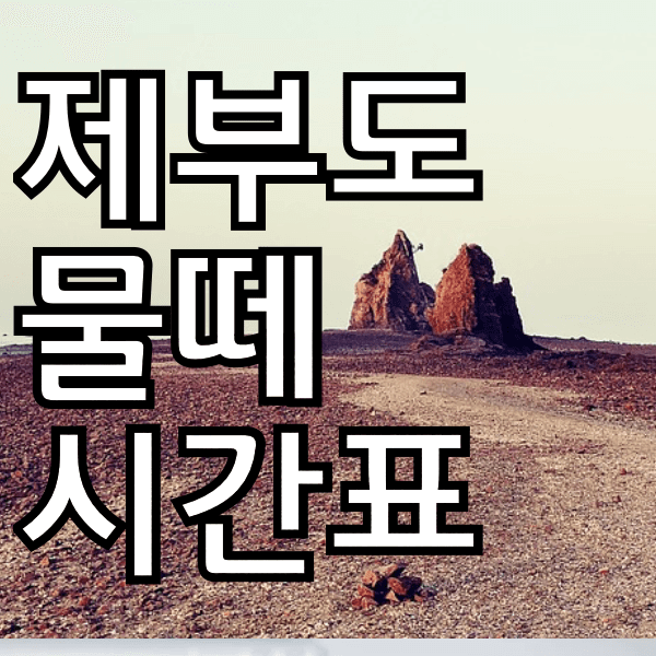 제부도 물때 시간표 최신 정보 여기 있어욤