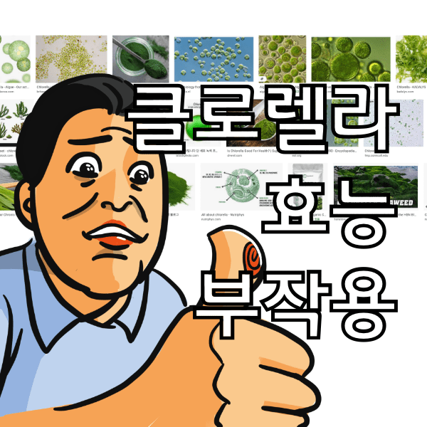 클로렐라 효능 10가지와 부작용, 이 약을 먹는 사람들 클로렐라를 먹으면 안되는 이유