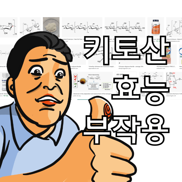 키토산 효능과 부작용, 키토산이 많다는 새우,게 아무리 먹어봐야 소용 없는 이유