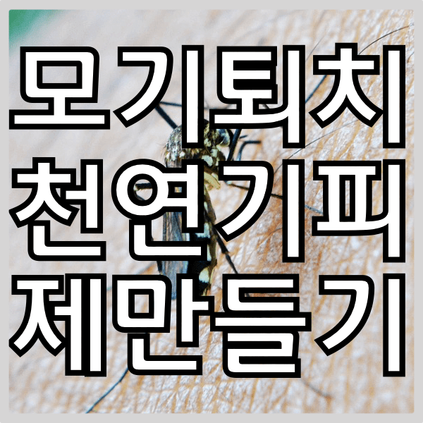 모기 기피제 만드는법.  건강한 천연 계피 모피로 퇴치하자.