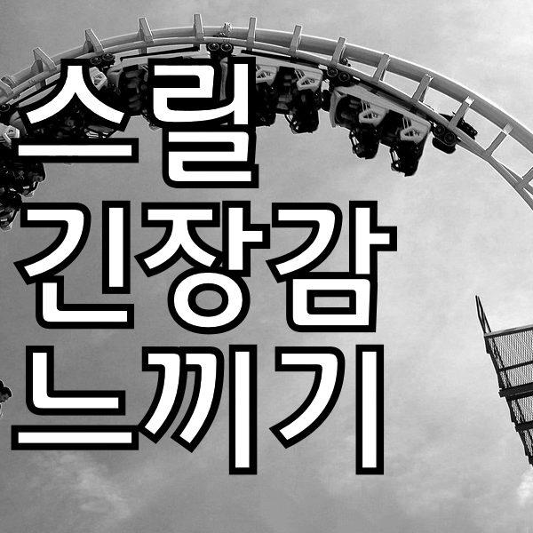 스릴과 긴장감을 느끼고 싶을때 해볼만한 것들