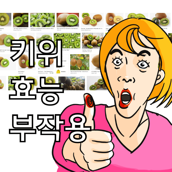 키위 효능 12가지와 부작용, 키위를 자기전에 1개 먹으면 잠이 잘오는 이유 알아봄