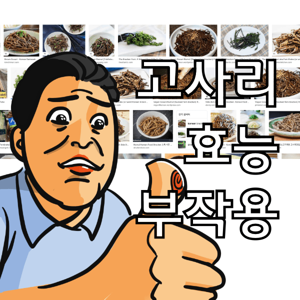 고사리 효능과 부작용, 고사리는 독이 있어 먹으면 암걸린다는 이야기의 진실을 알아봄
