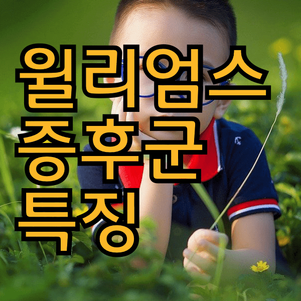 윌리엄스증후군 중요한 특징 알아봐욤