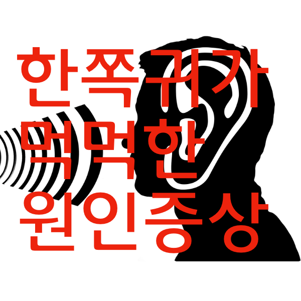 한쪽귀가 먹먹한데요? 원인과 증상 알아봐욤. 심각한 증상일수도 있어요.