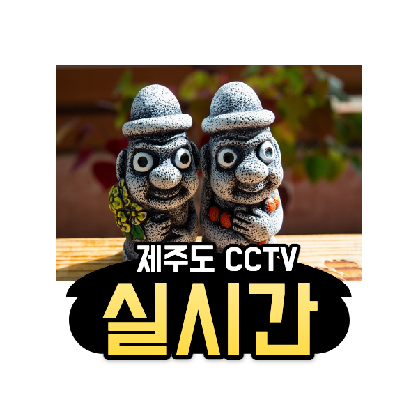 제주도 실시간 CCTV 보는 방법. 한라산 실시간 CCTV 보기