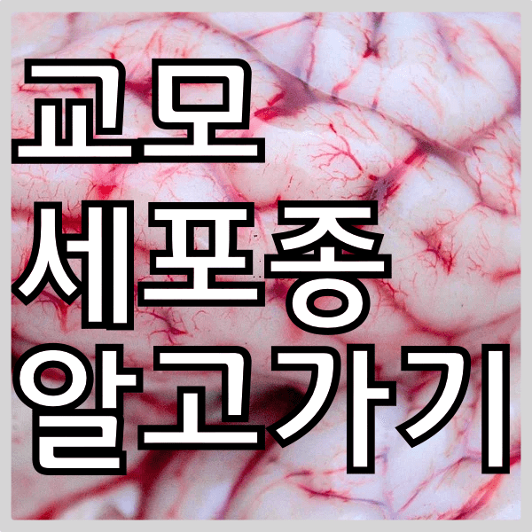 교모세포종. 뇌종양 중에서 최악 제대로 알고계세요