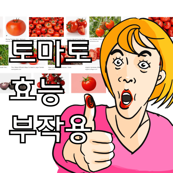 토마토 효능과 부작용 , 제발 토마토에 설탕뿌려 먹지 말라는 이유