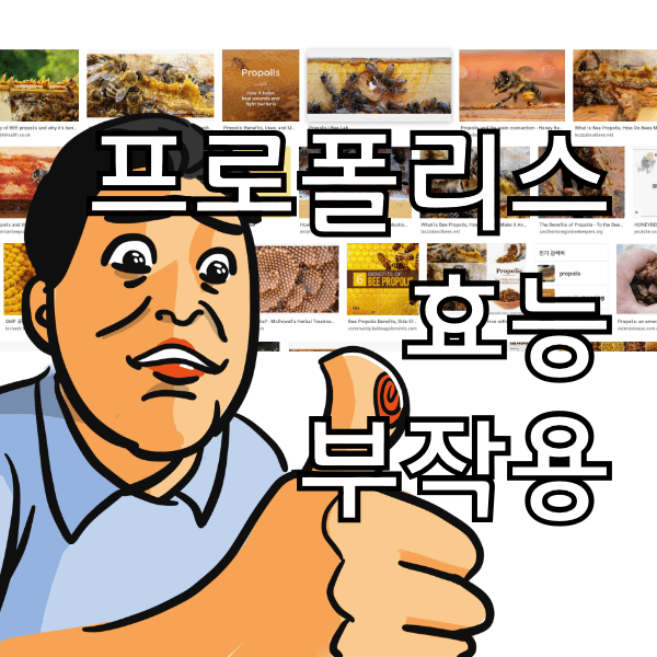프로폴리스 효능과 부작용, 프로폴리스를 먹으면 도움되는 사람들은 누구인지 알아봄