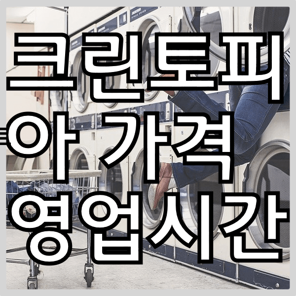 크린토피아 가격과 영업시간을 바로 알아보기