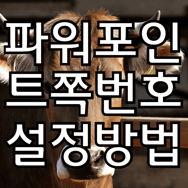 파워포인트 쪽번호 설정 방법