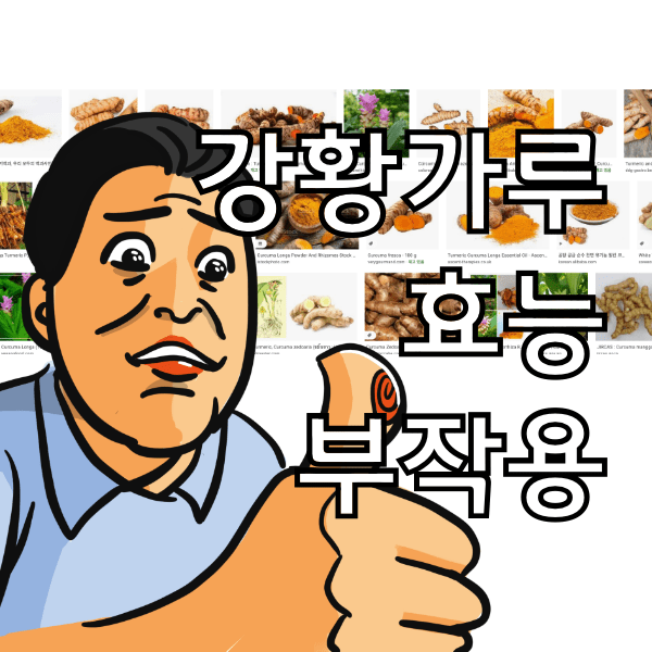 강황가루 효능 10가지와 부작용, 하루 섭취량을 꼭 지켜야하는 이유