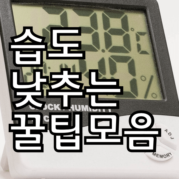 제습기 없이 습도 낮추고 습기 잡는 방법 알려드려욤