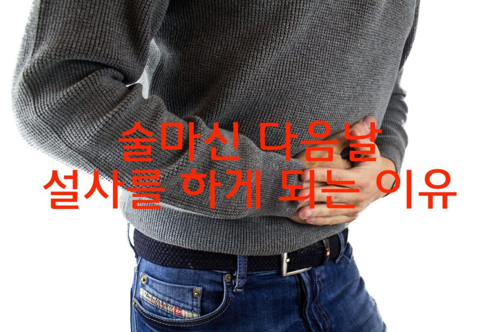 술먹고 다음날 설사하는 이유?