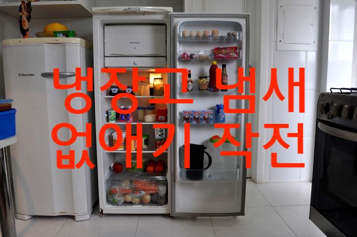 냉장고 냄새 제거하는 방법은 이게 딱이예욤
