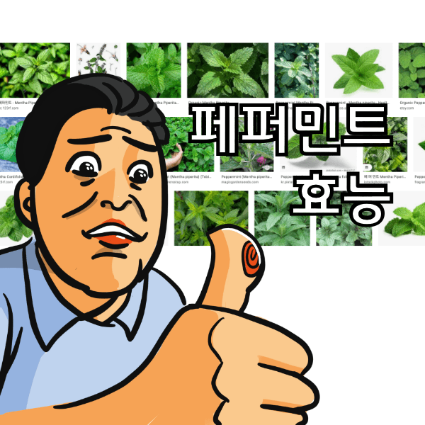 페퍼민트 효능에 대해서 알아봄