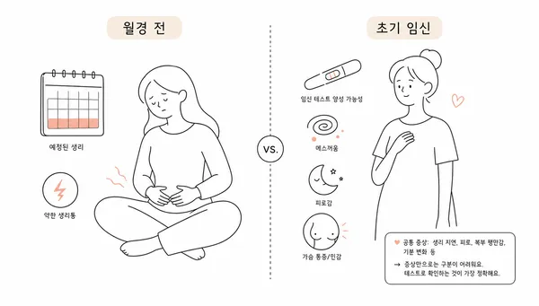 생리 전 증상과 임신 초기 증상을 나란히 비교한 일러스트