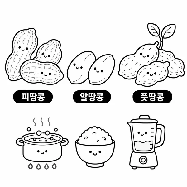 피땅콩 알땅콩 풋땅콩의 차이를 보여주는 비교 일러스트