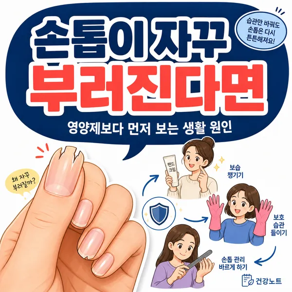 손톱부러짐원인이무엇인지알기