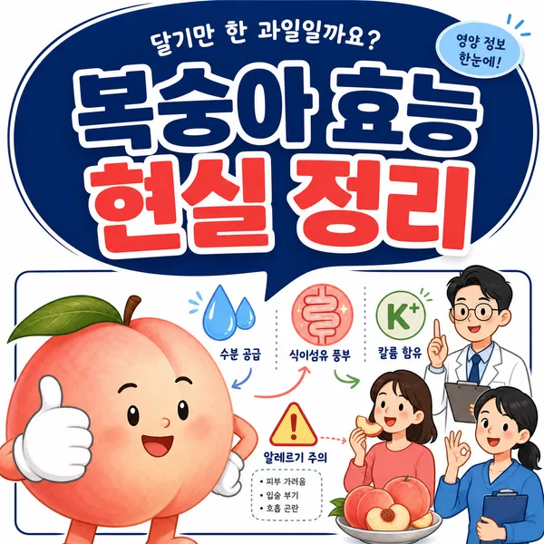 복숭아효능