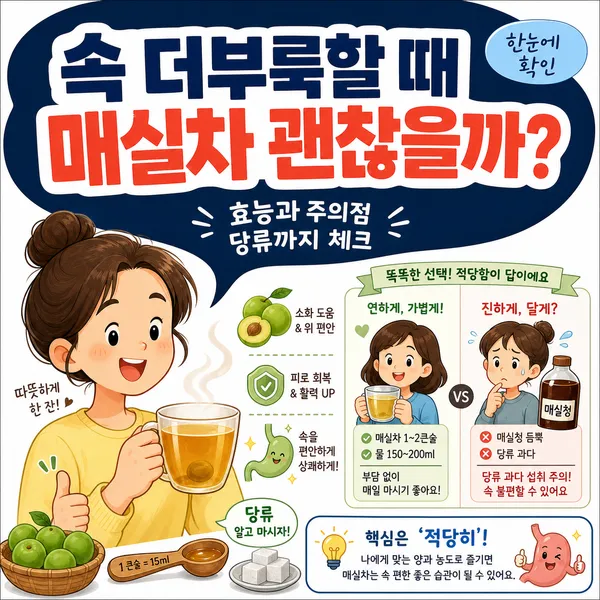 매실차효능