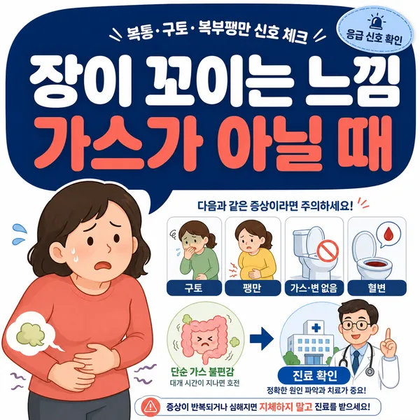 장이 꼬이는 느낌이 들 때, ‘가스겠지’ 하고 넘기면 안 되는 순간들