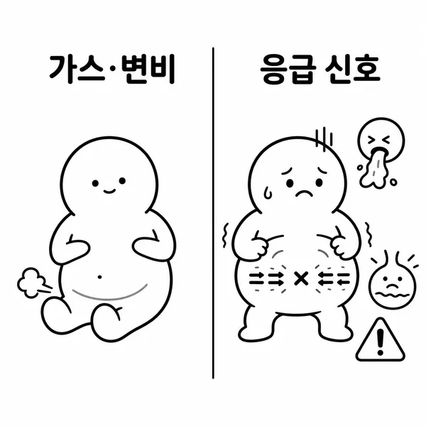 가스와 변비 같은 흔한 원인과 장폐색 장염전 같은 응급 신호를 비교한 일러스트