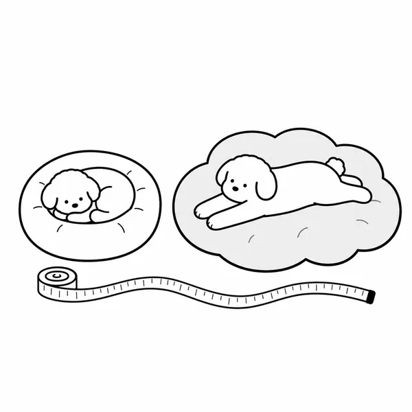 몸을 말고 자는 강아지와 길게 뻗어 자는 강아지의 방석 사이즈 비교